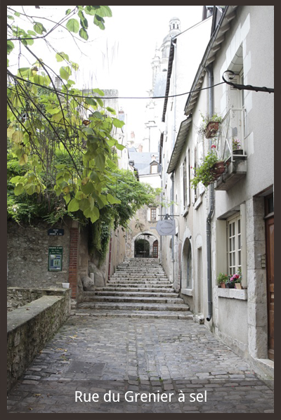 La Maison d'Ines- Gîtes à Blois-Loir-et-Cher